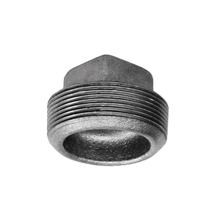 Anvil Anvil 1-1/4 in. MPT Galvanized Malleable Iron Plug 8700160008